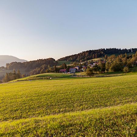 Apartmaji Pr-Gujlu Sela Nad Podmelcem 5220 Tolmin Podmelec Zewnętrze zdjęcie