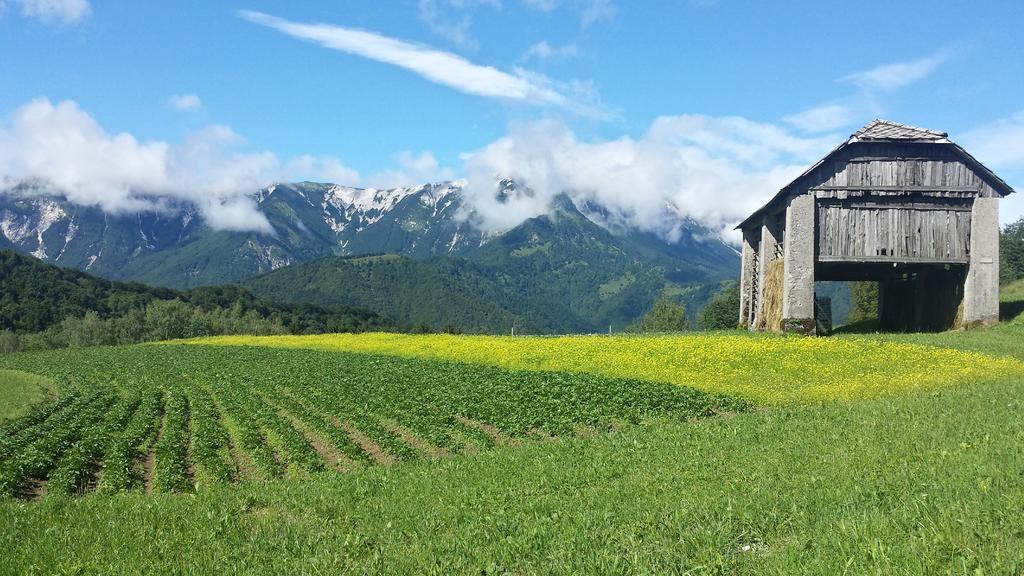 Apartmaji Pr-Gujlu Sela Nad Podmelcem 5220 Tolmin Podmelec Zewnętrze zdjęcie